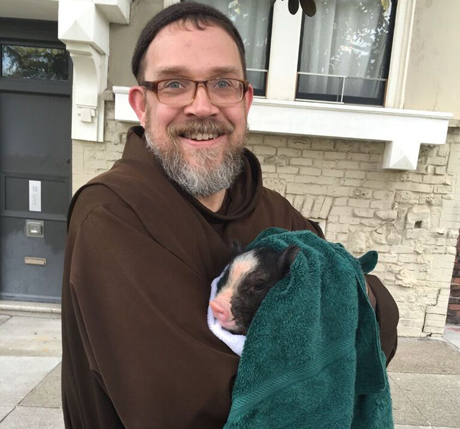 SFACC_Pig _03